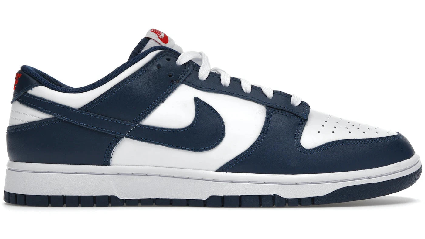 Nike Dunk Low Valerian Blue